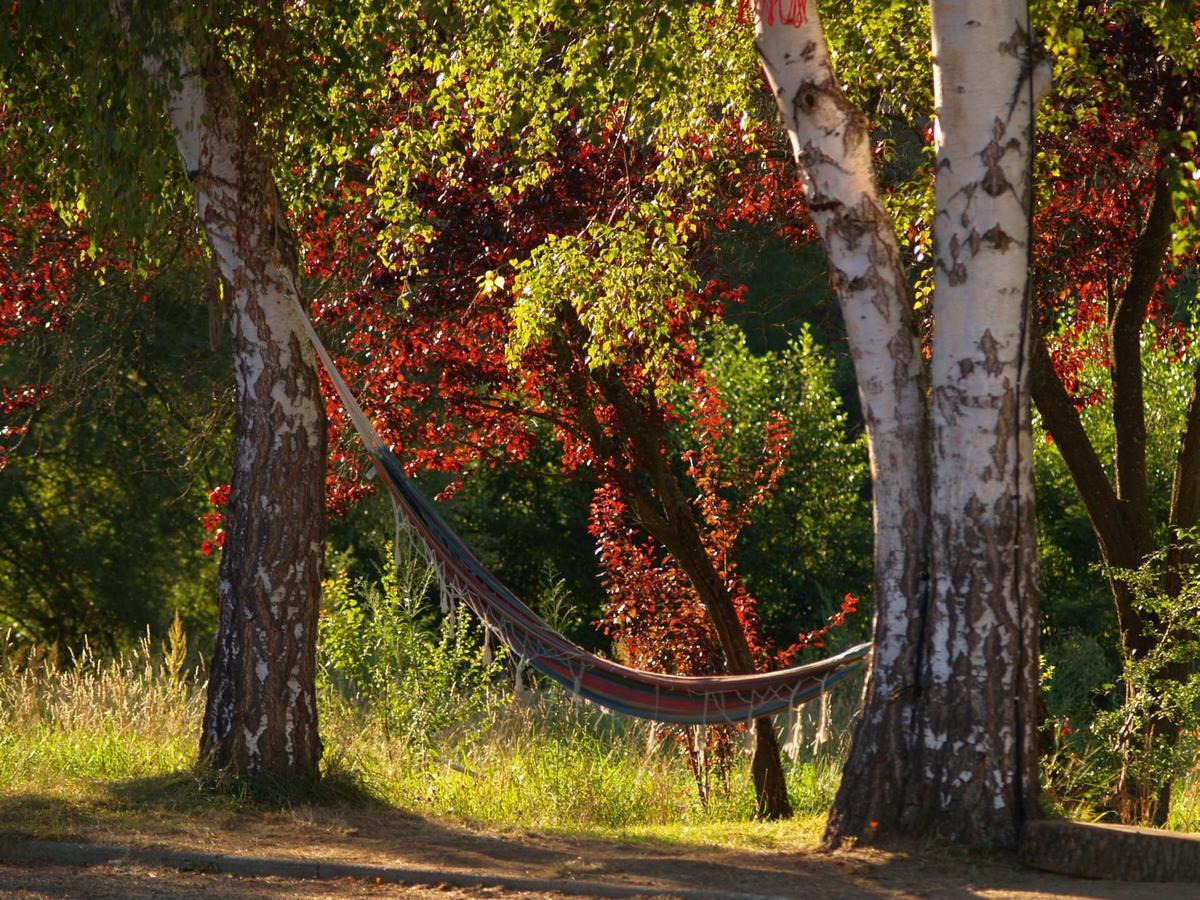 Cosycamp Chamalieres-sur-Loire Ngoại thất bức ảnh